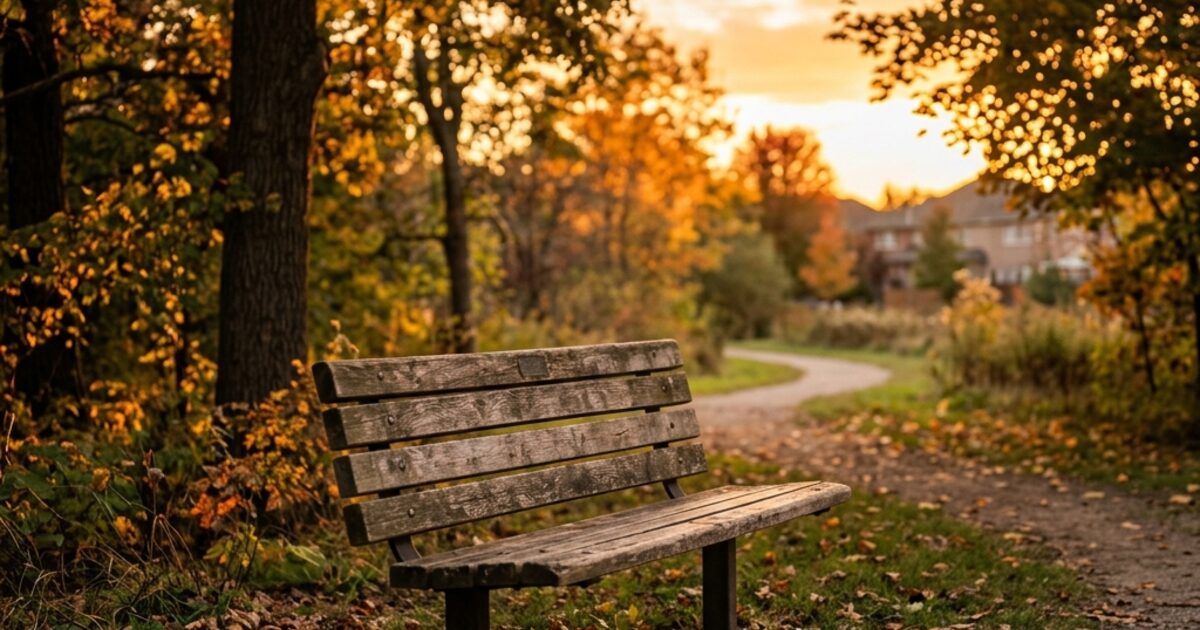 An empty wooden park bench on a winding path at golden hour sunset, leaves fallen around it, warm amber light through the trees... the bench where people used to sit, now unoccupied